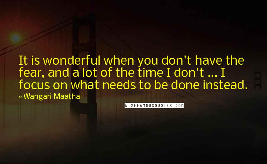 Wangari Maathai Quotes: It is wonderful when you don't have the fear, and a lot of the time I don't ... I focus on what needs to be done instead.