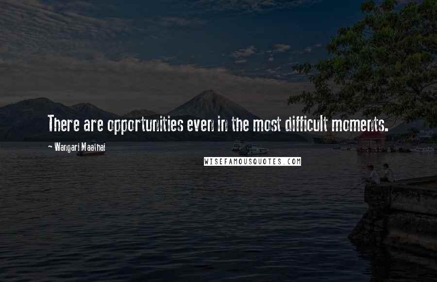 Wangari Maathai Quotes: There are opportunities even in the most difficult moments.