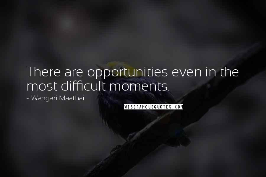 Wangari Maathai Quotes: There are opportunities even in the most difficult moments.