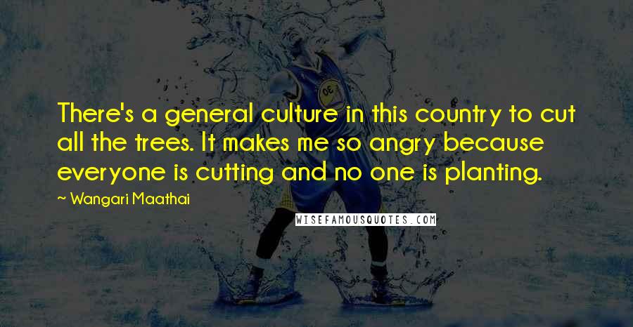 Wangari Maathai Quotes: There's a general culture in this country to cut all the trees. It makes me so angry because everyone is cutting and no one is planting.