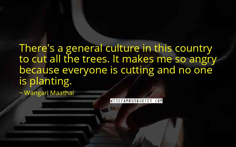 Wangari Maathai Quotes: There's a general culture in this country to cut all the trees. It makes me so angry because everyone is cutting and no one is planting.