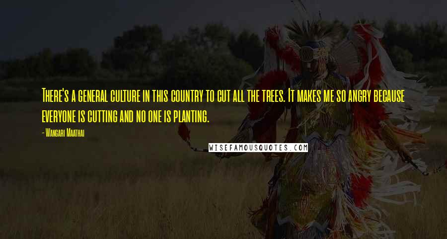 Wangari Maathai Quotes: There's a general culture in this country to cut all the trees. It makes me so angry because everyone is cutting and no one is planting.