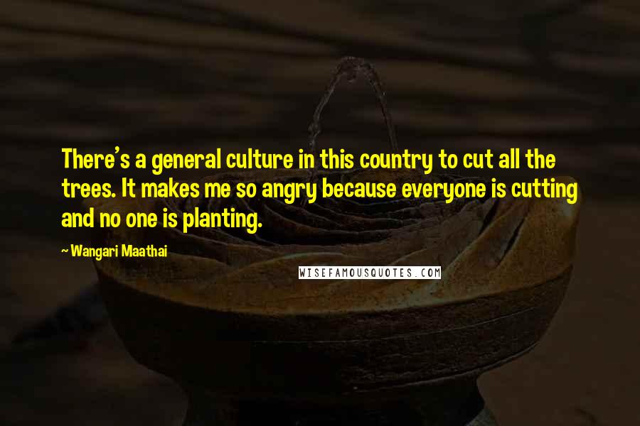 Wangari Maathai Quotes: There's a general culture in this country to cut all the trees. It makes me so angry because everyone is cutting and no one is planting.