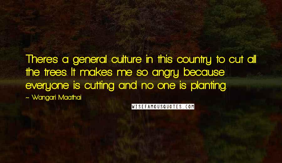 Wangari Maathai Quotes: There's a general culture in this country to cut all the trees. It makes me so angry because everyone is cutting and no one is planting.