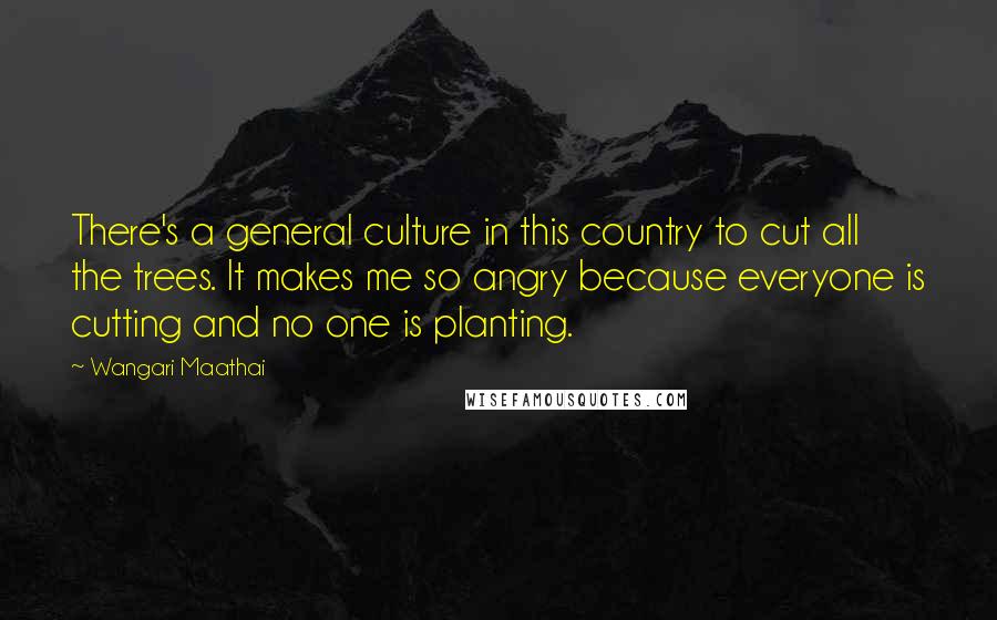 Wangari Maathai Quotes: There's a general culture in this country to cut all the trees. It makes me so angry because everyone is cutting and no one is planting.