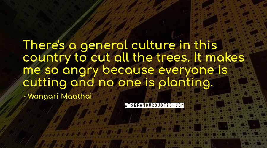 Wangari Maathai Quotes: There's a general culture in this country to cut all the trees. It makes me so angry because everyone is cutting and no one is planting.