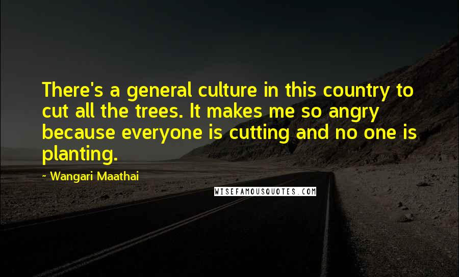 Wangari Maathai Quotes: There's a general culture in this country to cut all the trees. It makes me so angry because everyone is cutting and no one is planting.