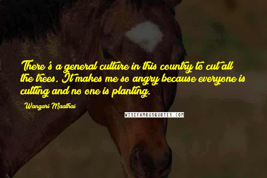 Wangari Maathai Quotes: There's a general culture in this country to cut all the trees. It makes me so angry because everyone is cutting and no one is planting.