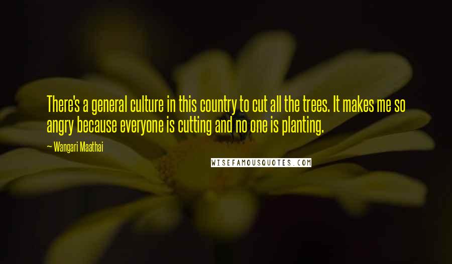 Wangari Maathai Quotes: There's a general culture in this country to cut all the trees. It makes me so angry because everyone is cutting and no one is planting.