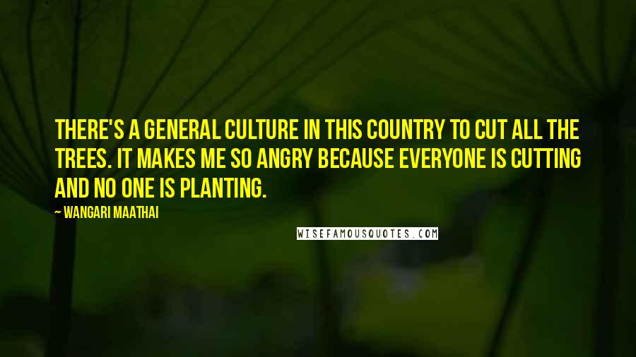 Wangari Maathai Quotes: There's a general culture in this country to cut all the trees. It makes me so angry because everyone is cutting and no one is planting.