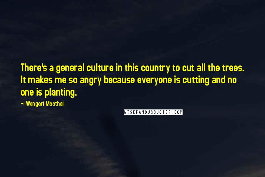 Wangari Maathai Quotes: There's a general culture in this country to cut all the trees. It makes me so angry because everyone is cutting and no one is planting.