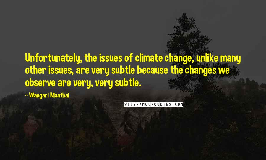 Wangari Maathai Quotes: Unfortunately, the issues of climate change, unlike many other issues, are very subtle because the changes we observe are very, very subtle.