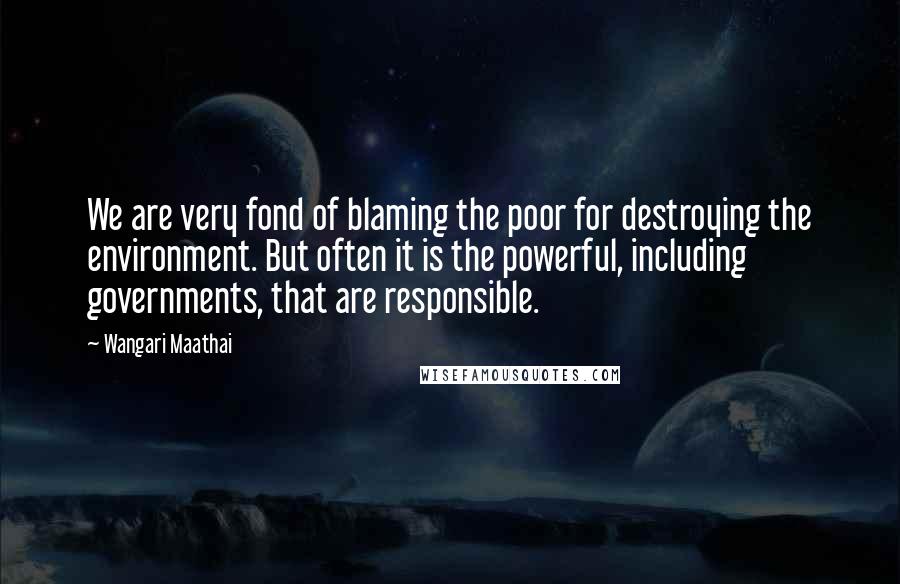 Wangari Maathai Quotes: We are very fond of blaming the poor for destroying the environment. But often it is the powerful, including governments, that are responsible.