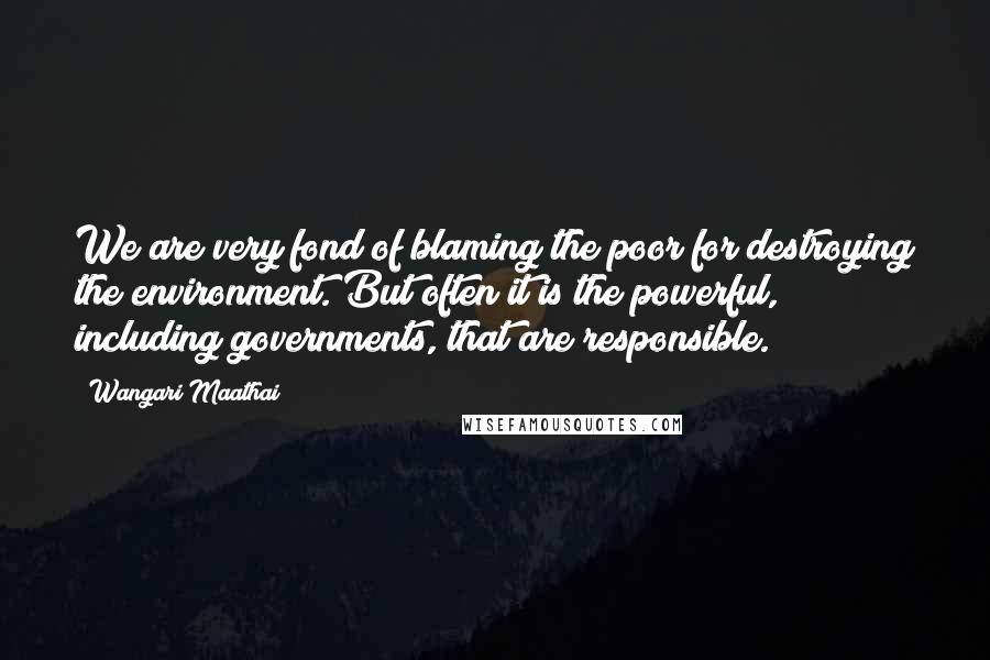 Wangari Maathai Quotes: We are very fond of blaming the poor for destroying the environment. But often it is the powerful, including governments, that are responsible.