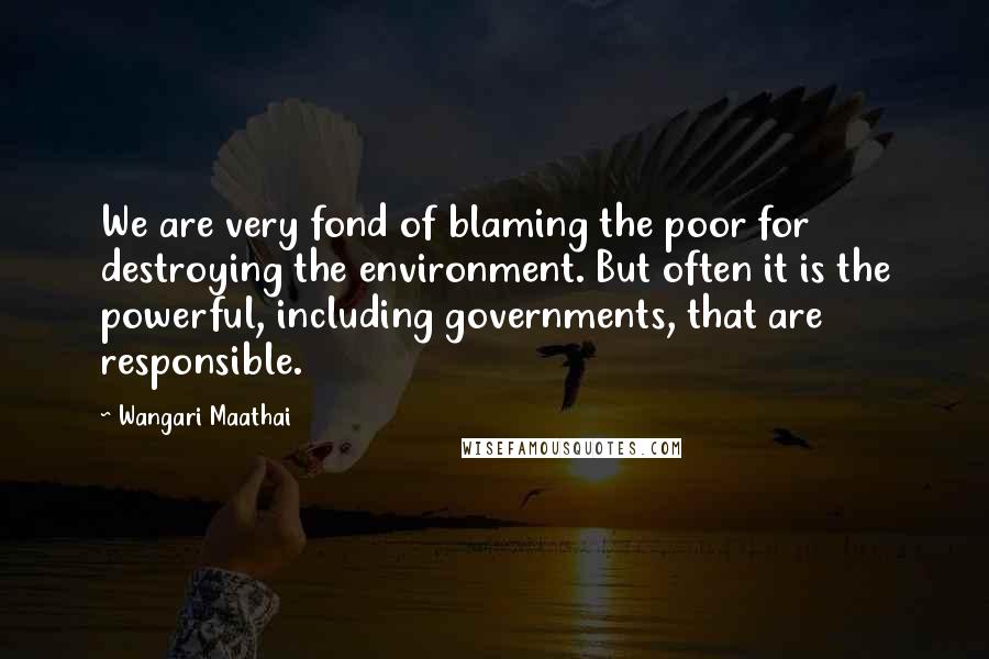 Wangari Maathai Quotes: We are very fond of blaming the poor for destroying the environment. But often it is the powerful, including governments, that are responsible.