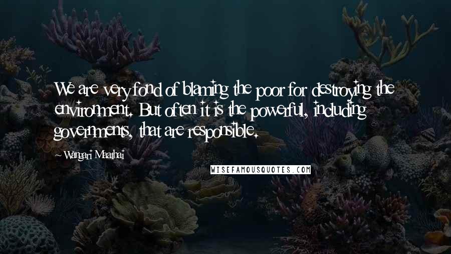 Wangari Maathai Quotes: We are very fond of blaming the poor for destroying the environment. But often it is the powerful, including governments, that are responsible.