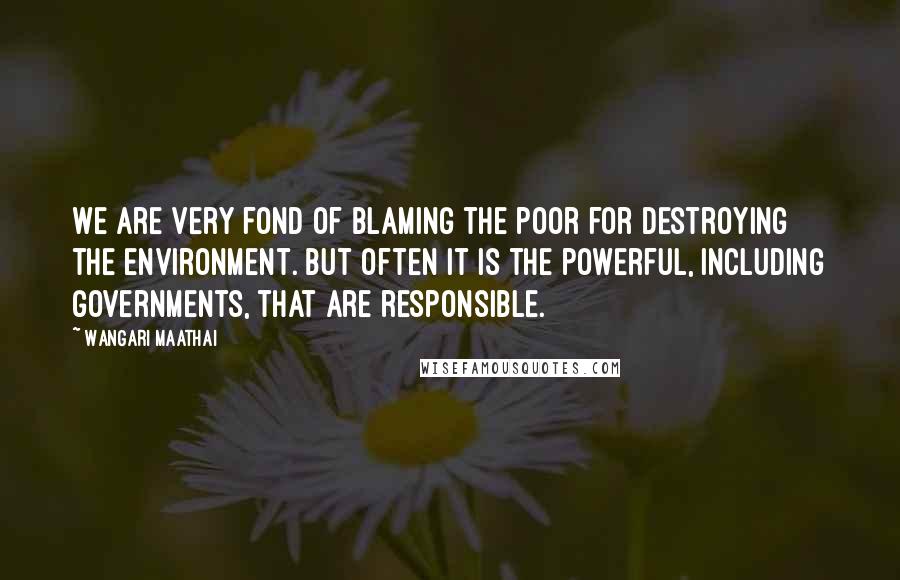 Wangari Maathai Quotes: We are very fond of blaming the poor for destroying the environment. But often it is the powerful, including governments, that are responsible.