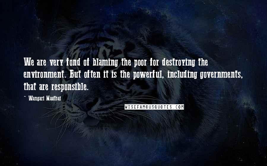 Wangari Maathai Quotes: We are very fond of blaming the poor for destroying the environment. But often it is the powerful, including governments, that are responsible.