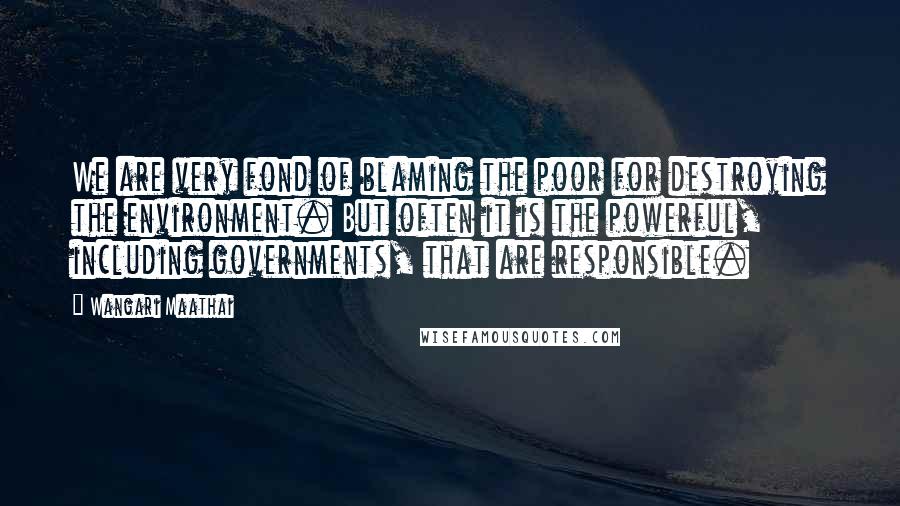 Wangari Maathai Quotes: We are very fond of blaming the poor for destroying the environment. But often it is the powerful, including governments, that are responsible.