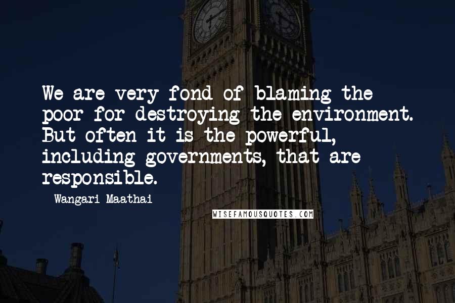 Wangari Maathai Quotes: We are very fond of blaming the poor for destroying the environment. But often it is the powerful, including governments, that are responsible.