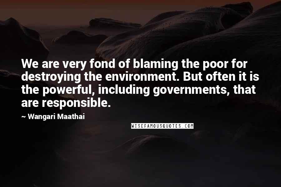 Wangari Maathai Quotes: We are very fond of blaming the poor for destroying the environment. But often it is the powerful, including governments, that are responsible.