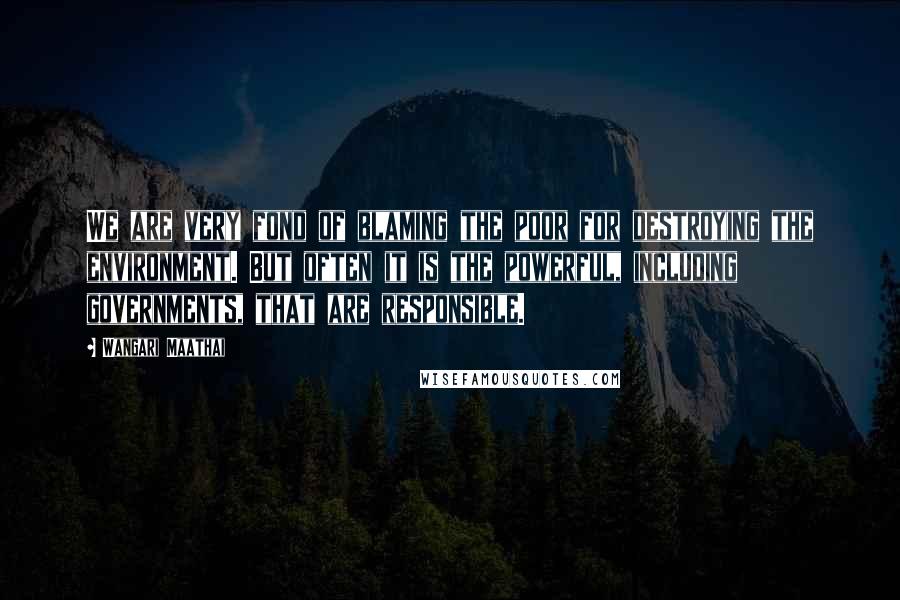 Wangari Maathai Quotes: We are very fond of blaming the poor for destroying the environment. But often it is the powerful, including governments, that are responsible.