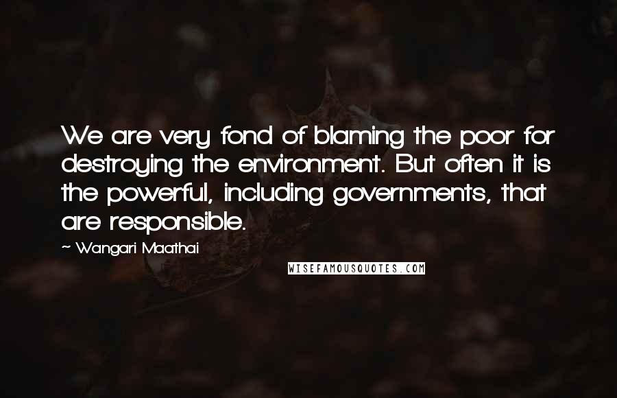 Wangari Maathai Quotes: We are very fond of blaming the poor for destroying the environment. But often it is the powerful, including governments, that are responsible.