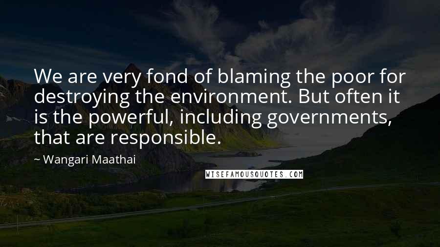 Wangari Maathai Quotes: We are very fond of blaming the poor for destroying the environment. But often it is the powerful, including governments, that are responsible.