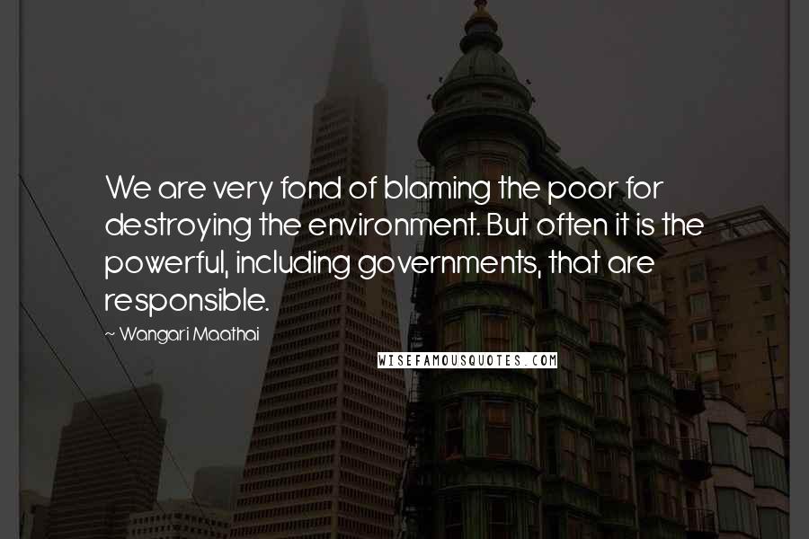 Wangari Maathai Quotes: We are very fond of blaming the poor for destroying the environment. But often it is the powerful, including governments, that are responsible.