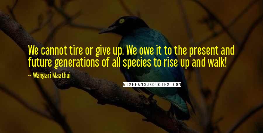 Wangari Maathai Quotes: We cannot tire or give up. We owe it to the present and future generations of all species to rise up and walk!