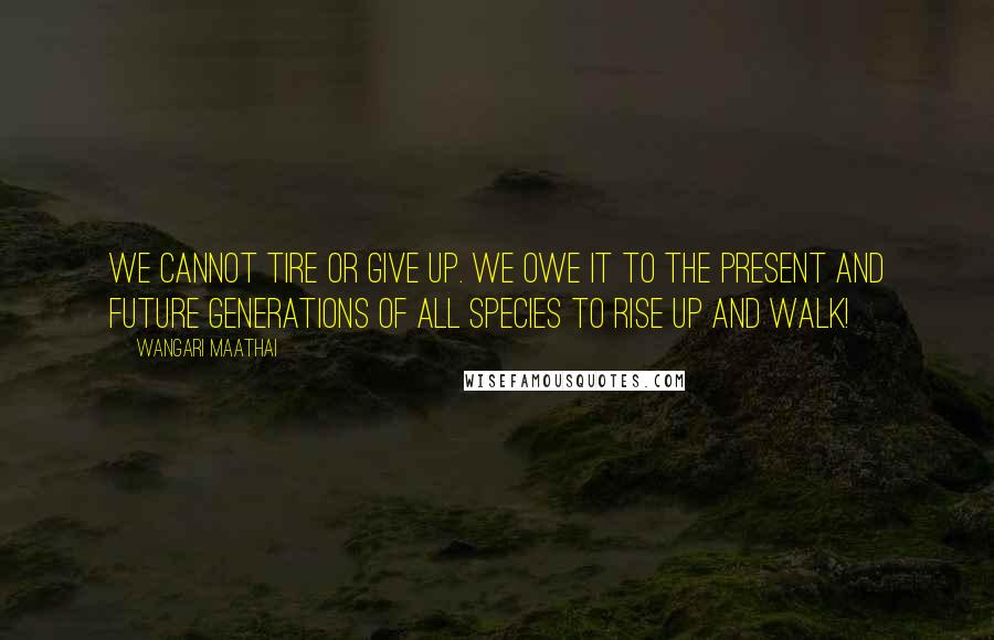 Wangari Maathai Quotes: We cannot tire or give up. We owe it to the present and future generations of all species to rise up and walk!