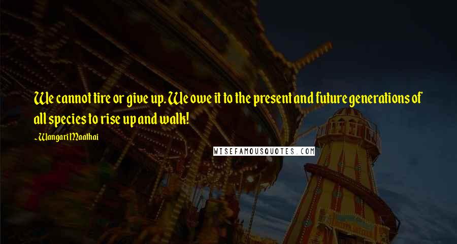 Wangari Maathai Quotes: We cannot tire or give up. We owe it to the present and future generations of all species to rise up and walk!