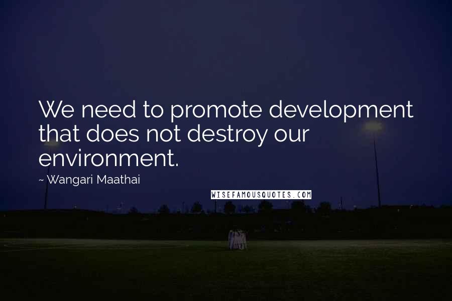 Wangari Maathai Quotes: We need to promote development that does not destroy our environment.