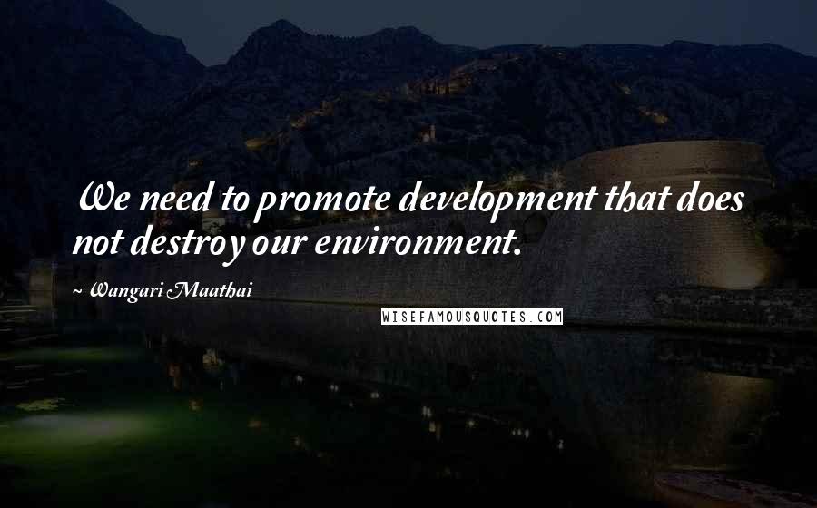 Wangari Maathai Quotes: We need to promote development that does not destroy our environment.