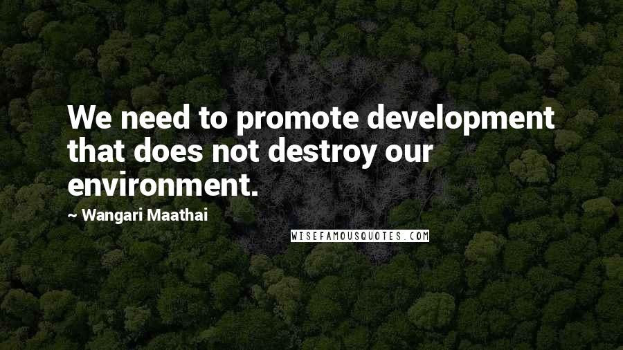 Wangari Maathai Quotes: We need to promote development that does not destroy our environment.