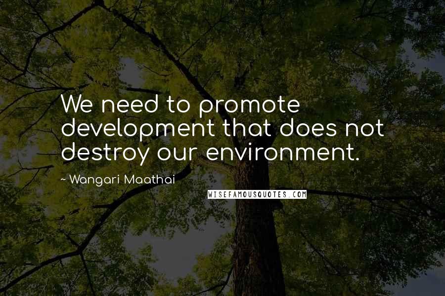 Wangari Maathai Quotes: We need to promote development that does not destroy our environment.