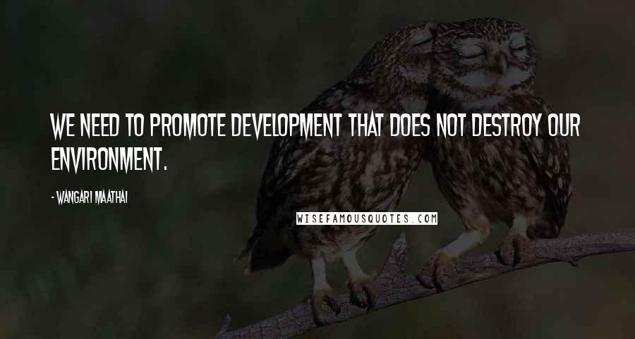 Wangari Maathai Quotes: We need to promote development that does not destroy our environment.