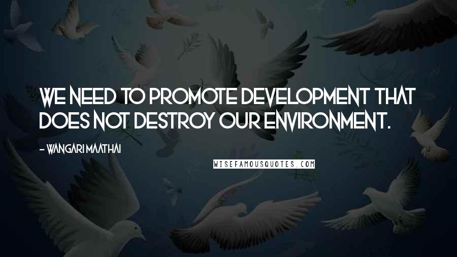 Wangari Maathai Quotes: We need to promote development that does not destroy our environment.