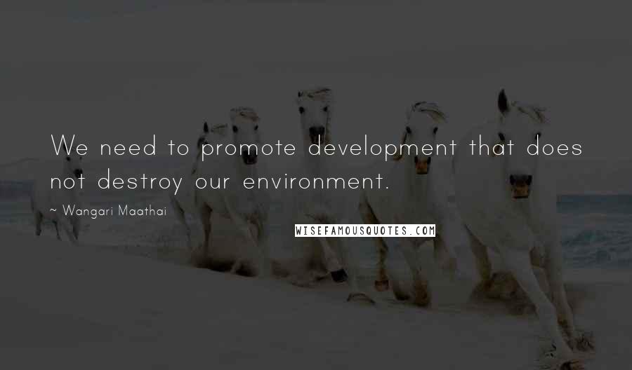 Wangari Maathai Quotes: We need to promote development that does not destroy our environment.