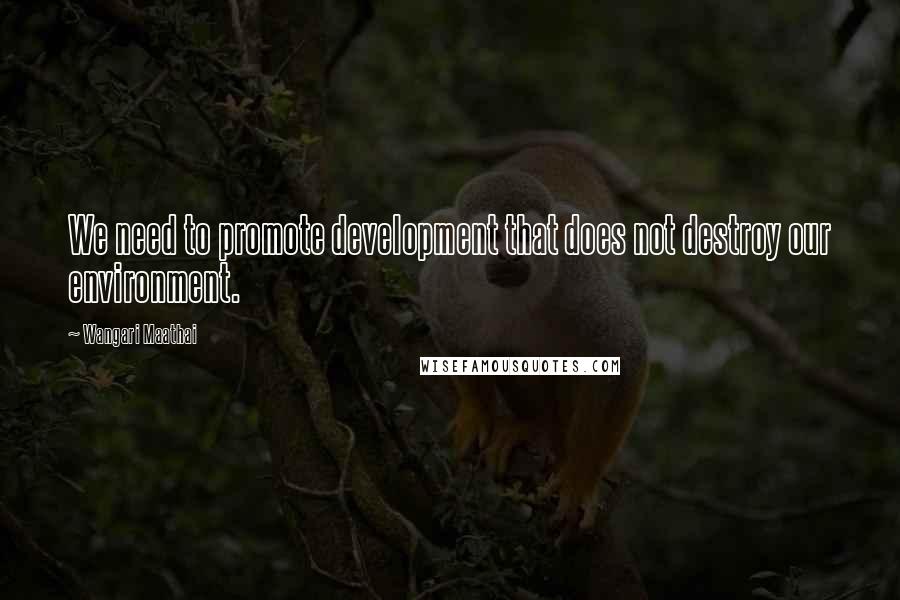 Wangari Maathai Quotes: We need to promote development that does not destroy our environment.