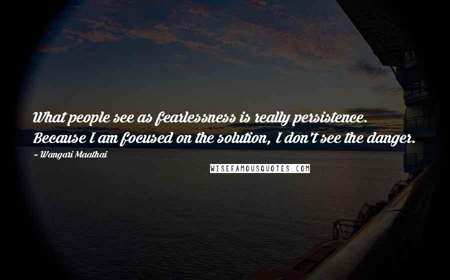 Wangari Maathai Quotes: What people see as fearlessness is really persistence. Because I am focused on the solution, I don't see the danger.