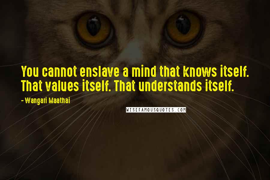 Wangari Maathai Quotes: You cannot enslave a mind that knows itself. That values itself. That understands itself.