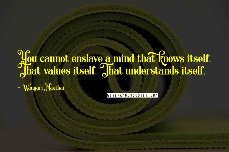 Wangari Maathai Quotes: You cannot enslave a mind that knows itself. That values itself. That understands itself.