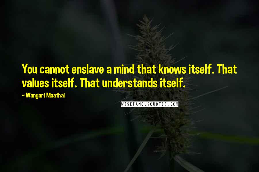Wangari Maathai Quotes: You cannot enslave a mind that knows itself. That values itself. That understands itself.