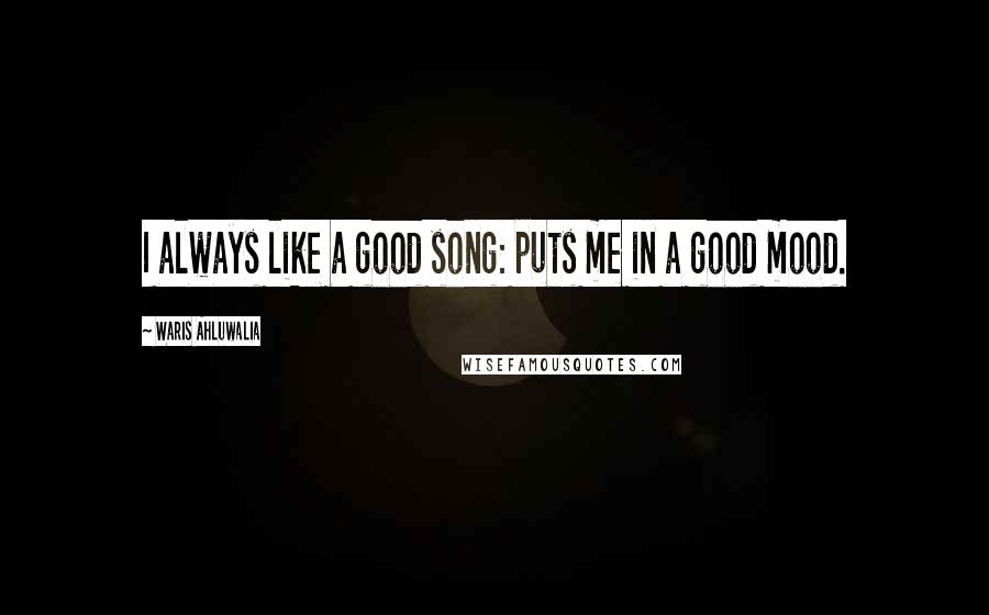 Waris Ahluwalia Quotes: I always like a good song: puts me in a good mood.