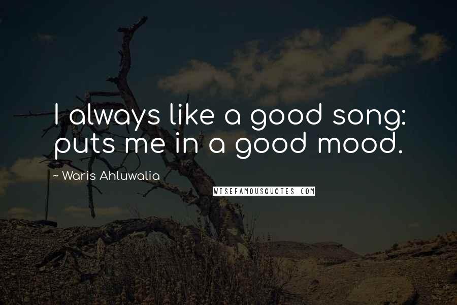 Waris Ahluwalia Quotes: I always like a good song: puts me in a good mood.