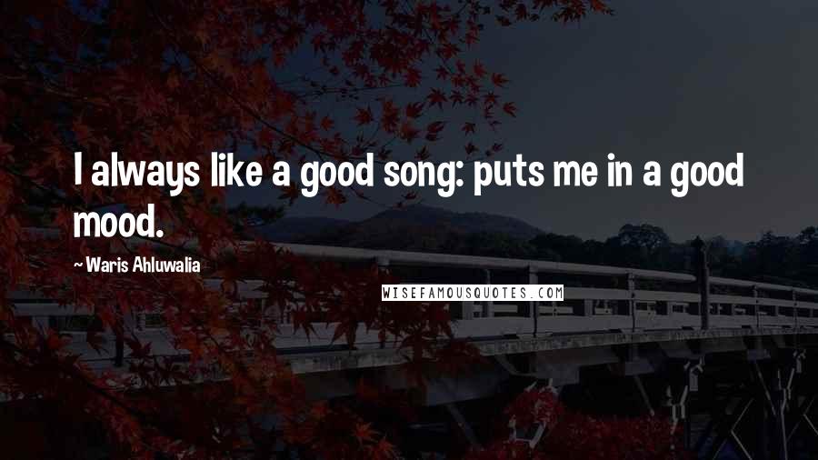Waris Ahluwalia Quotes: I always like a good song: puts me in a good mood.
