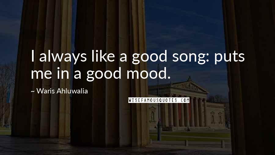 Waris Ahluwalia Quotes: I always like a good song: puts me in a good mood.