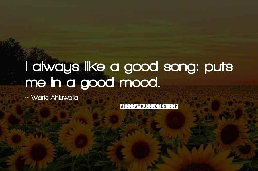 Waris Ahluwalia Quotes: I always like a good song: puts me in a good mood.