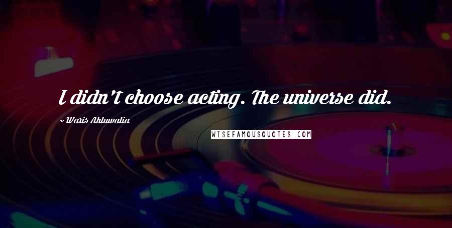 Waris Ahluwalia Quotes: I didn't choose acting. The universe did.